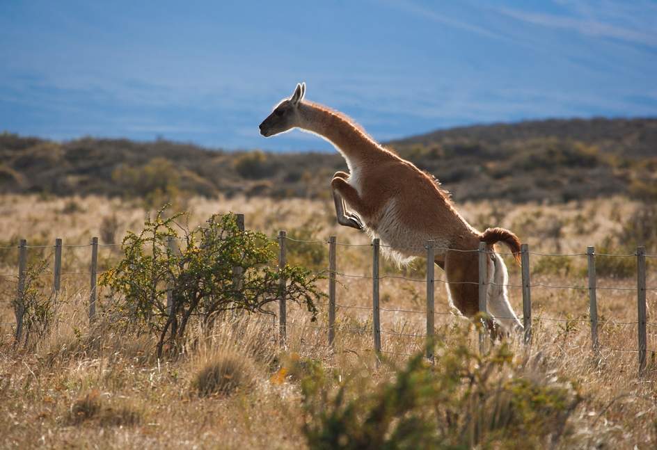 FULL DAY CHALTEN CON ALMUERZO - Imagen 6