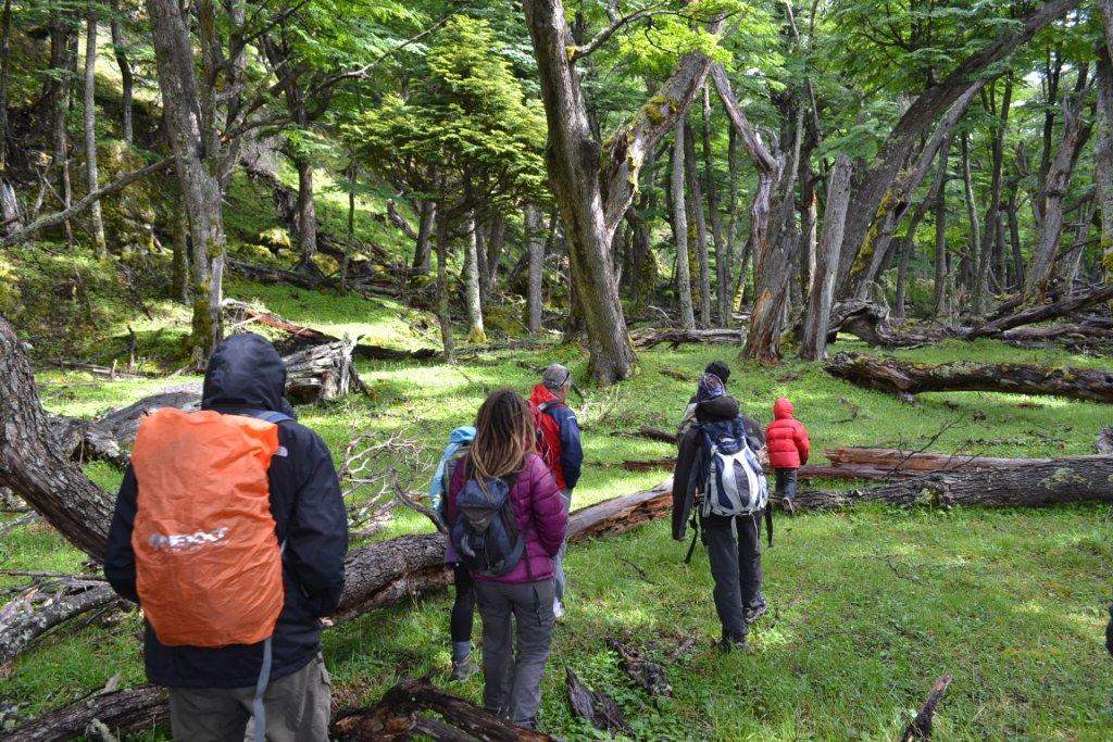 Navegación Lago del Desierto & Glaciar Vespignani 2hrs / 4 hrs - Imagen 7