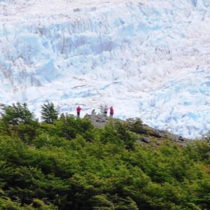 Navegación Lago del Desierto & Glaciar Vespignani 2hrs / 4 hrs