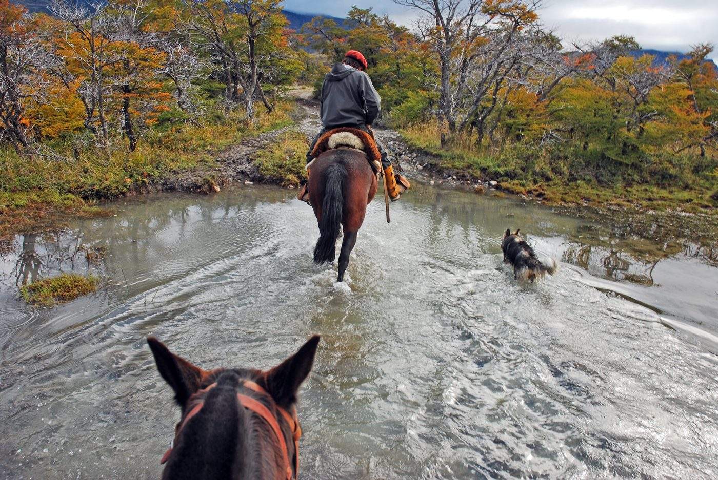 Estancia Cristina Full Day Cabalgata - Imagen 5