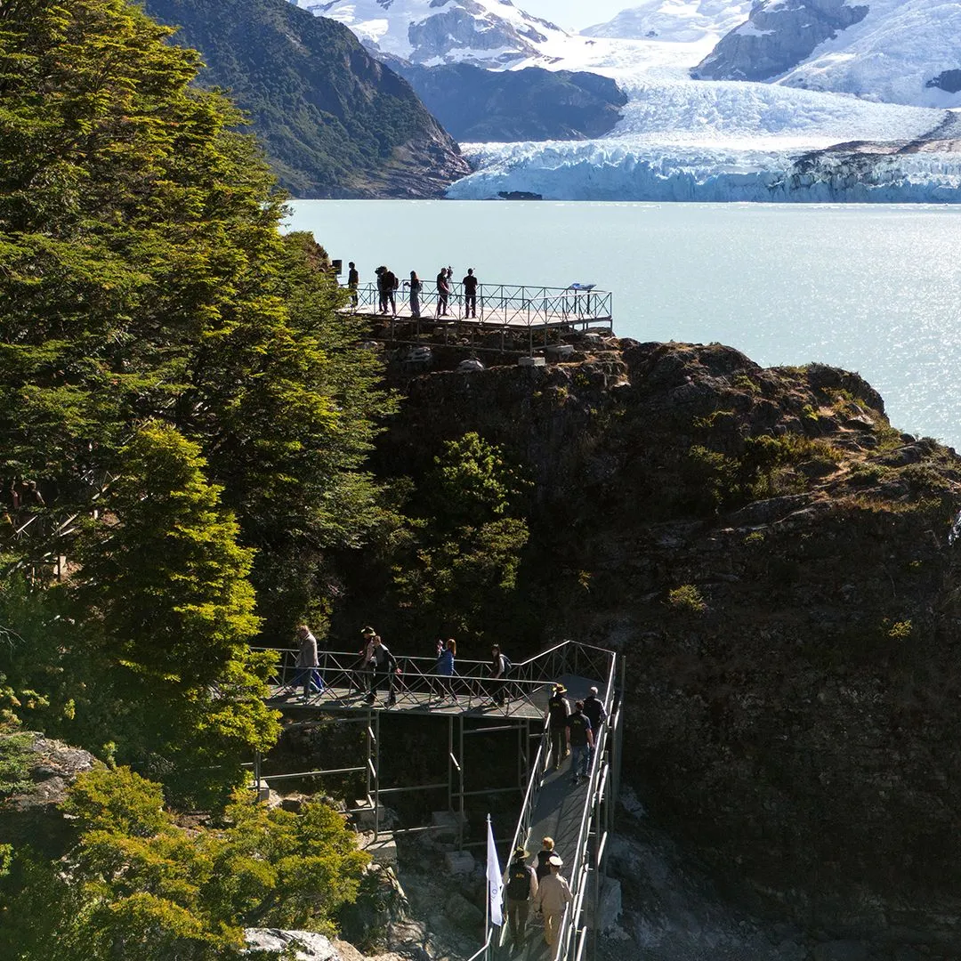 EXPERIENCIA UPSALA – SPEGAZZINI - Imagen 5