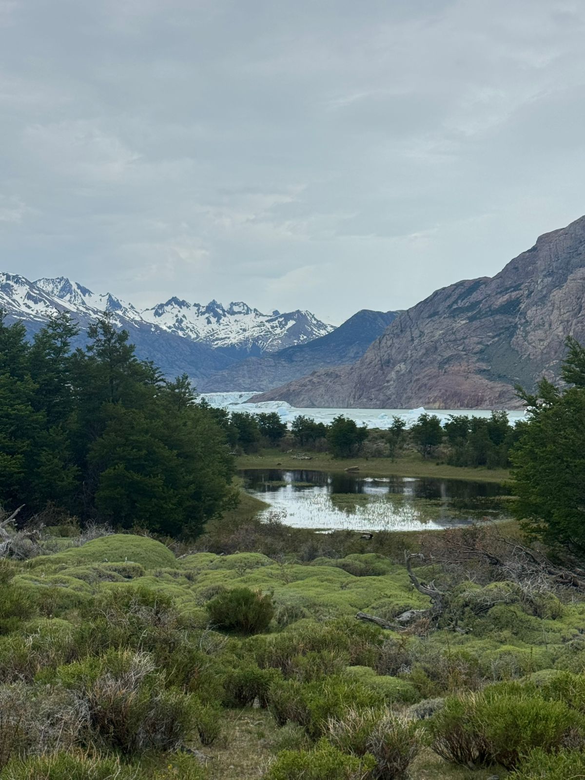 GLACIAR VIEDMA CON NOCHE + NAVEGACION - Imagen 9