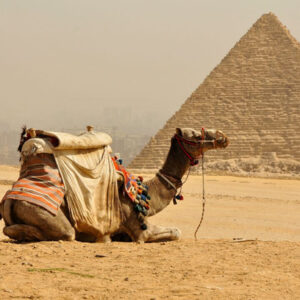 EGIPTO Y JORDANIA 11 DE MARZO